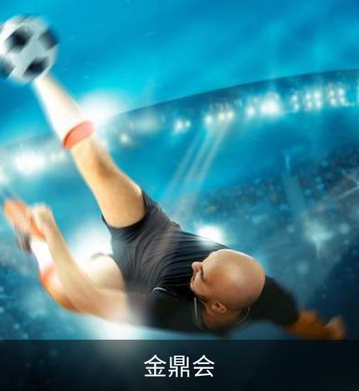 了解金鼎会